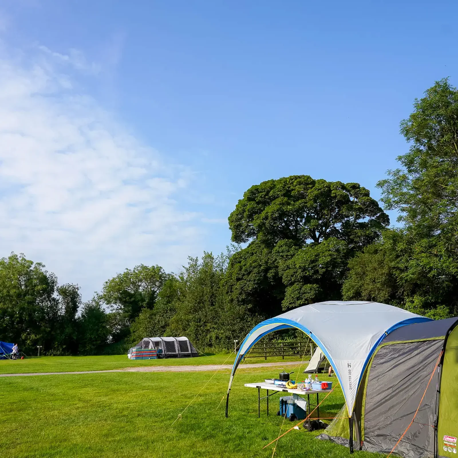 Spacious tent pitches on the park in summer