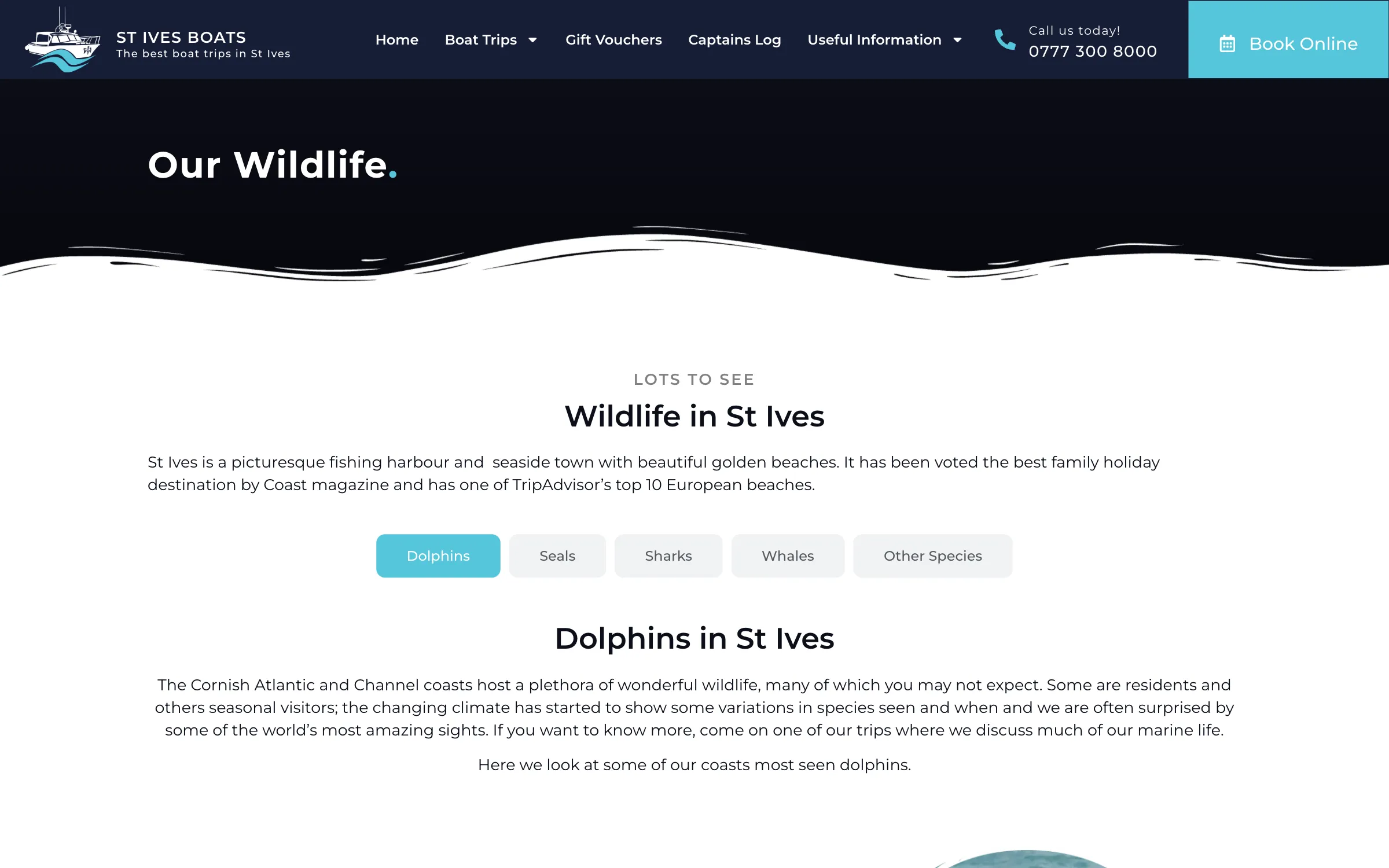 The St Ives wildlife guide