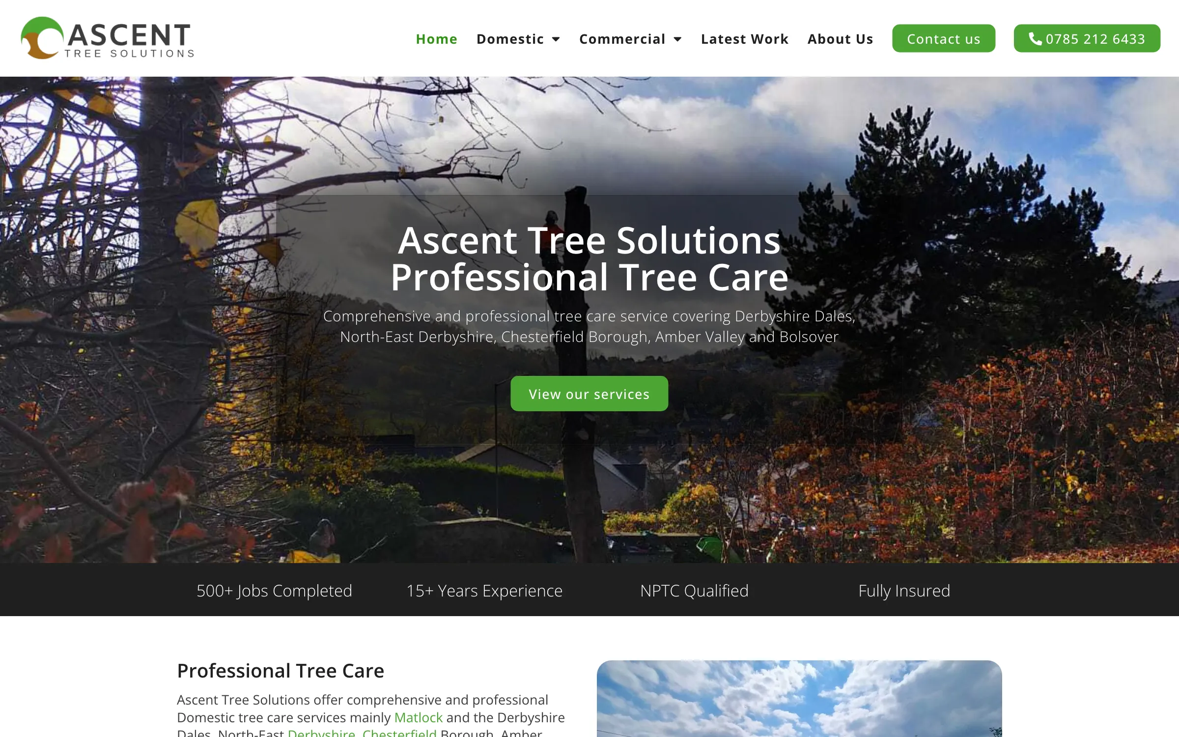 The Ascent Tree Solutions website homepage