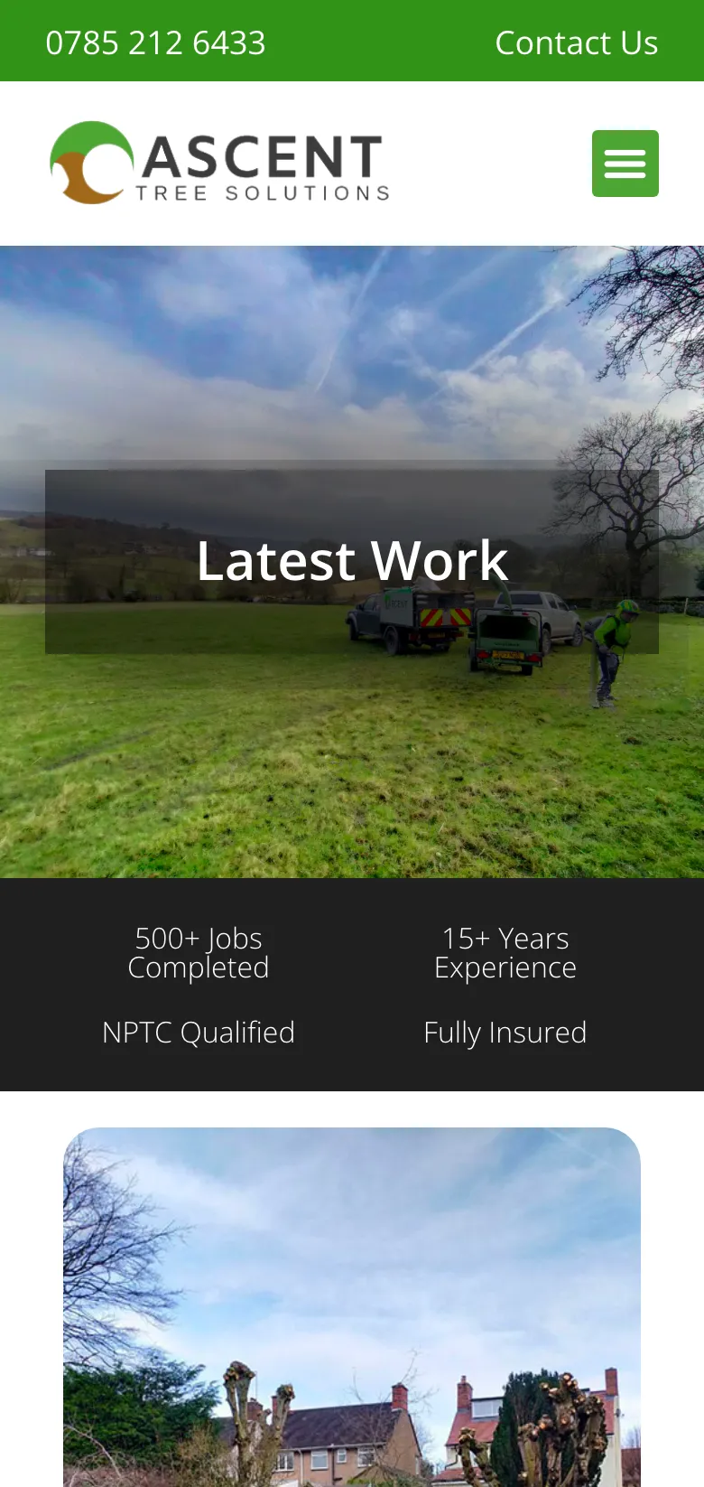 A horse chestnut pollarding project, on mobile
