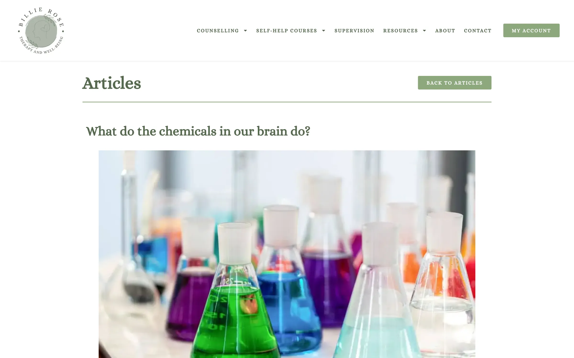 An article on brain chemistry